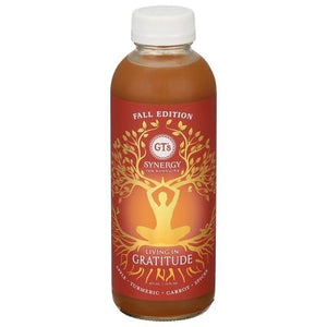 Gts Kombucha Seasonal Synergy 12/16 OZ [UNFI #2273217] [ebt] D