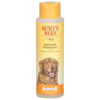 Burts Bees Shampoo Oatmeal 1/16 OZ [UNFI-CARLISLE #2095073]